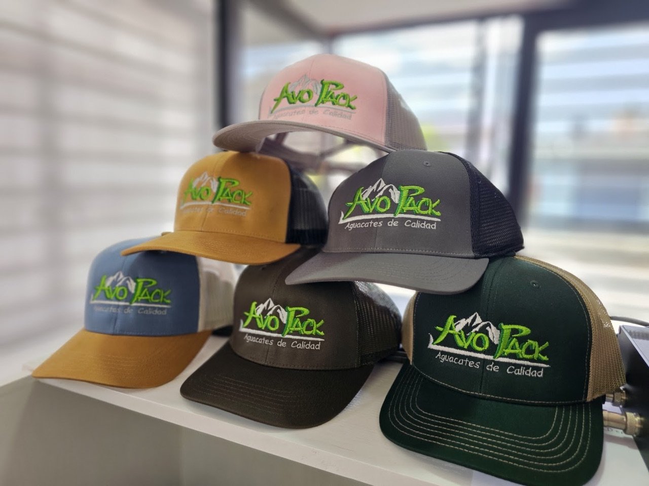 Colección de gorras bordadas